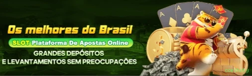 Conta coelhoty sincronizada site e app